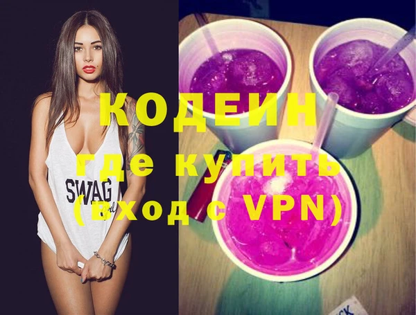 индика Инта
