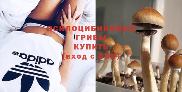 кокаин Богородицк