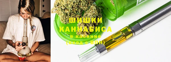хмурый Белокуриха