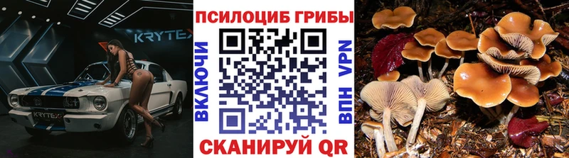цены   Киренск  Галлюциногенные грибы мухоморы 